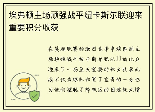 埃弗顿主场顽强战平纽卡斯尔联迎来重要积分收获